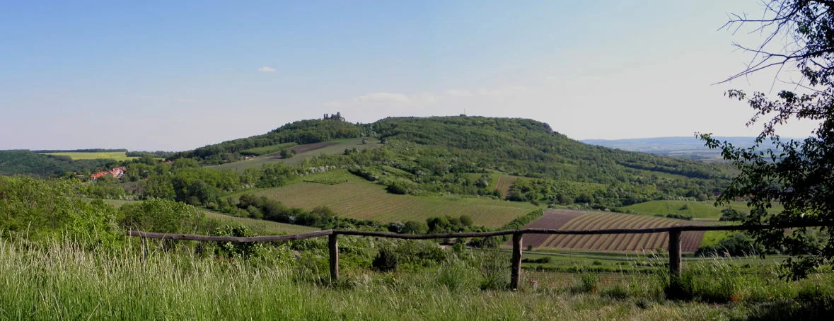 Pálava a jihomoravské vinice